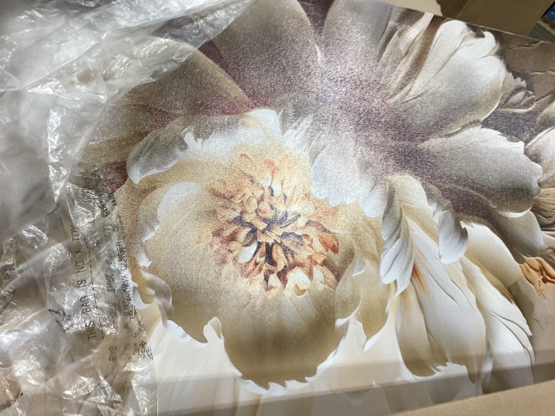 Condition photo showing Good Condition for flower canvas wall art for bedroom women white and brown wall decor for living room teen girl room decor 20 x 40 inch 40l" x 20w" white