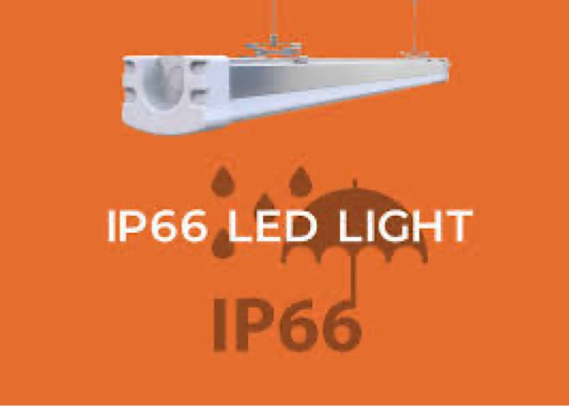 Led IP66 lights