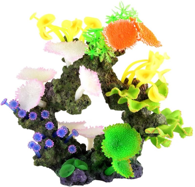 Wrap Up Your Savings With Us!