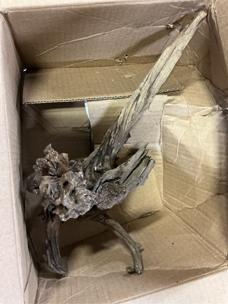 Condition photo showing As Is for majoywoo Natural Large Driftwood for Aquarium Decor Reptile Decor, Assorted Spider Wood Branch 13-17" Long, Fish Tank Decoration Spiderwood 13 to 17 Inch(Pack of 1)