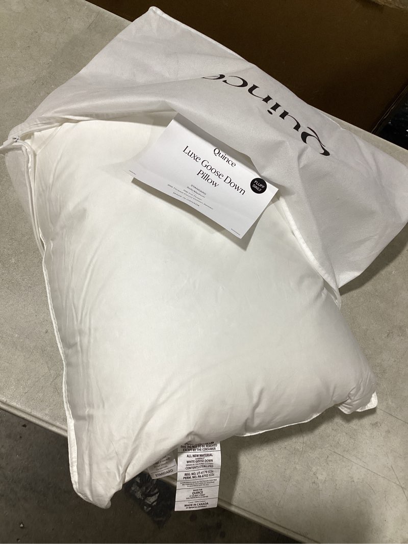 Condition photo showing Good Condition for quince luxe goose down pillow standard soft/medium