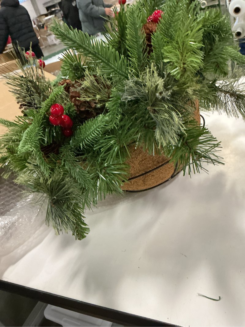 Condition photo showing Good Condition for Outdoor Winter Evergreen Hanging Basket