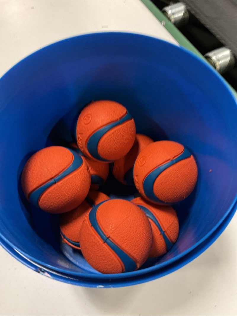 Condition photo showing New/Like New for chuckit! ultra ball dog toy with chuckit! cleaning bucket, bouncy fetch pet toys for dogs 20-60 lbs, interactive dog toys, durable rubber, size medium, 2.5-inch diameter, 8-pack of balls medium medium (8 pack bucket)
