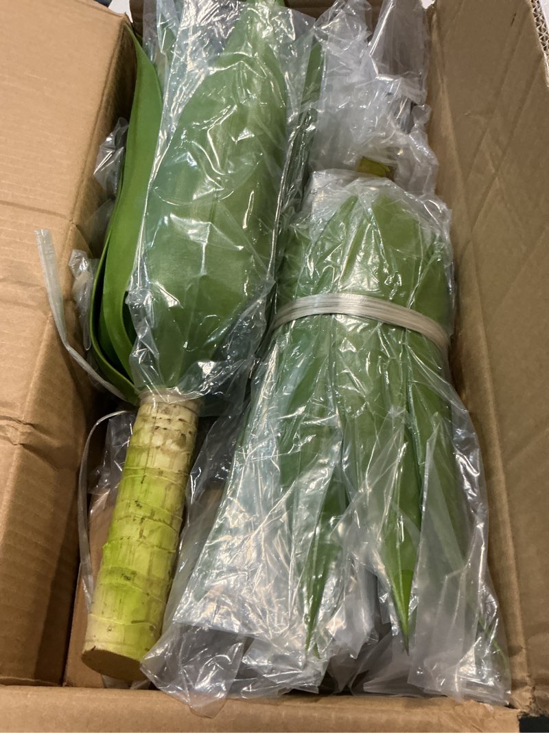 Condition photo showing Good Condition for Velener 28 Inch Artificial Agave Plants Outdoor Set, Large Fake Plants Indoor for Home Decor, Realistic UV Resistant Faux Succulents Plants Without Pot, Set of 2 Green*2 28 Inches