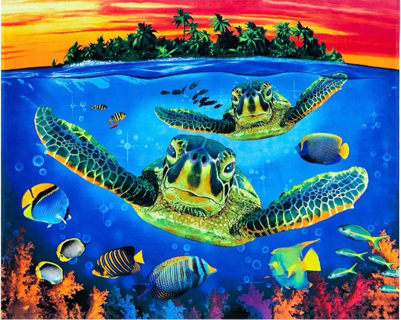 Beachland Turtle Beach Towel 55 x 68 inch Fishes Underwater Sunset Tropical Beach Blanket 100% Cotton Extra Large Family Size (1 Towel, Turtle Reef) 1 Towel Turtle Reef