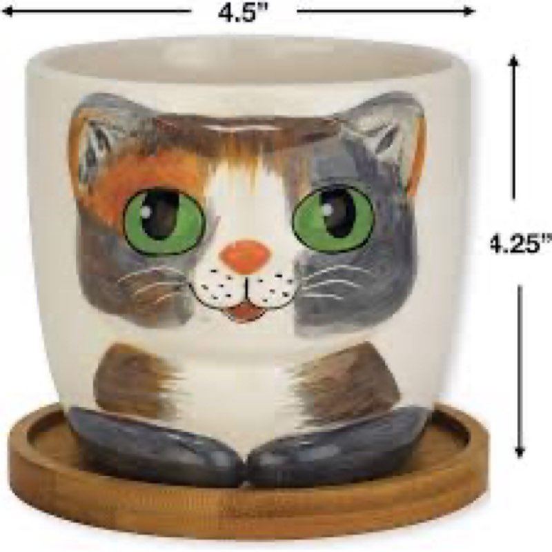 window garden cat mug