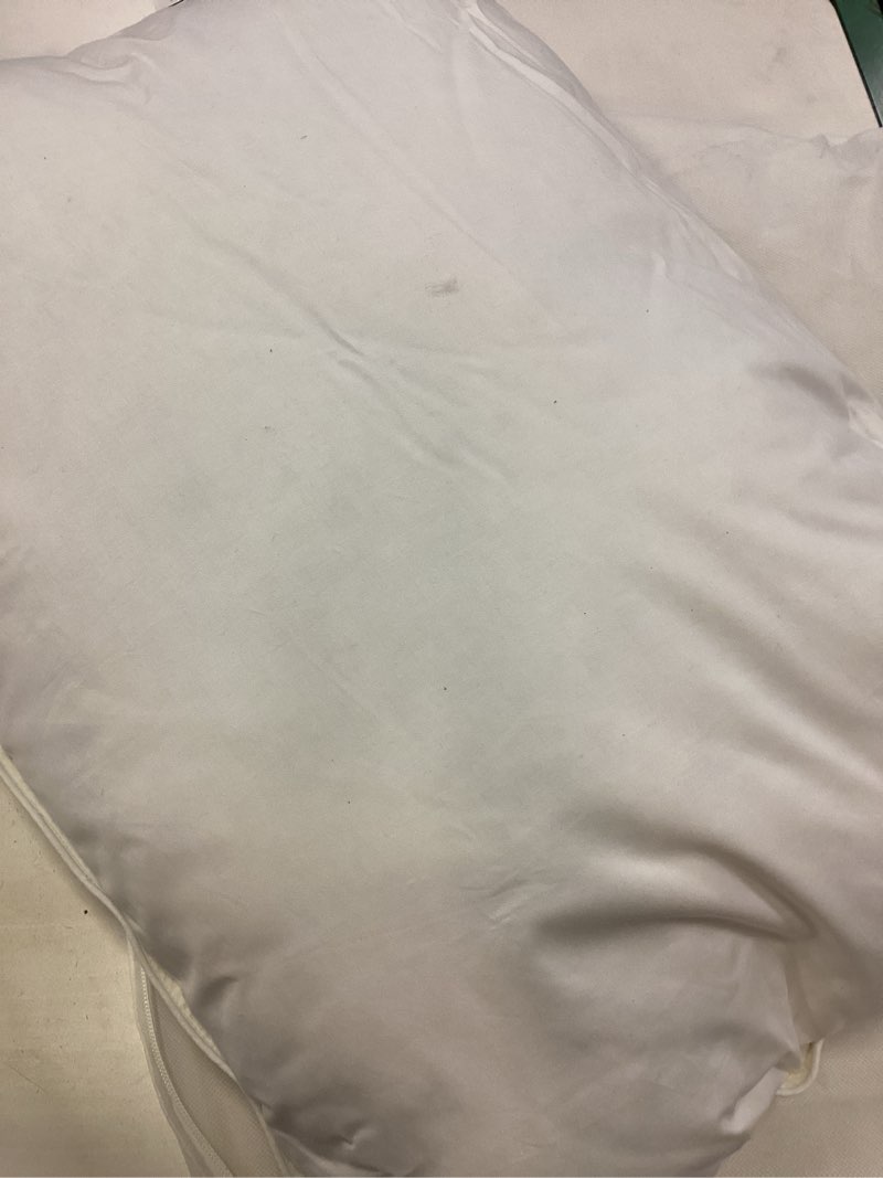 Condition photo showing Good Condition for quince premium down pillow standard
