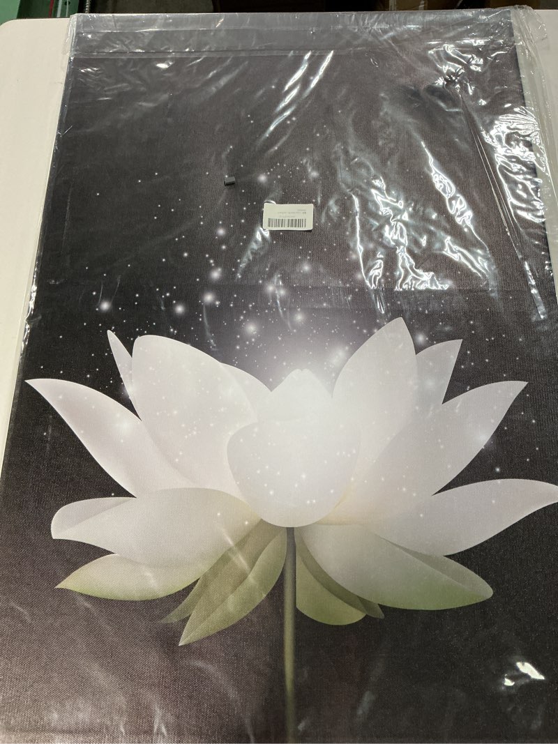 Condition photo showing New/Like New for lotus floral canvas prints art for zen office decor wall art meditation pictures modern artwork painting framed ready to hang(20x30inch)