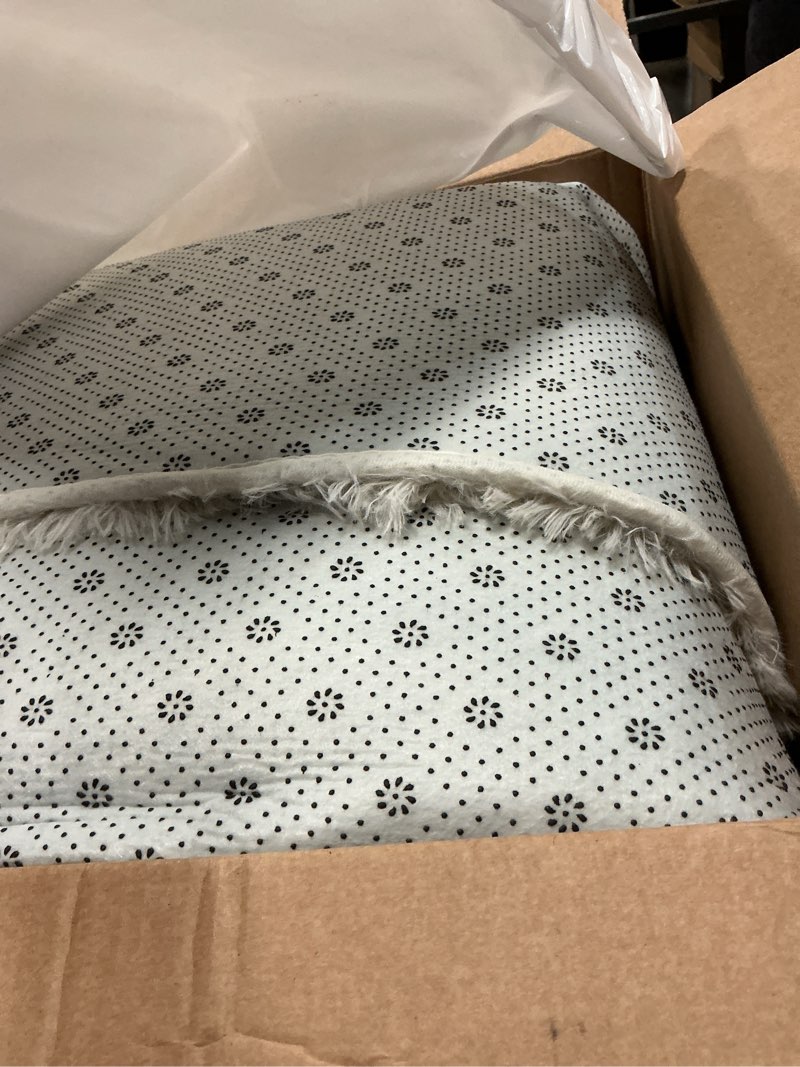 Condition photo showing Good Condition for sour lemon 6x9 area rugs, large area rug 6 x9, washable area rugs, bedroom area rug shag shaggy carpet soft plush furry bedside fluffy rug for living room kids girls boys home decor anti slip ivory 6' x 9' (rectangular)