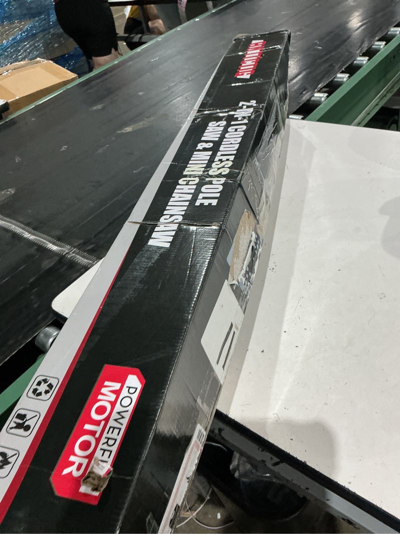-in-1 cordless pole saw & mini chainsaw