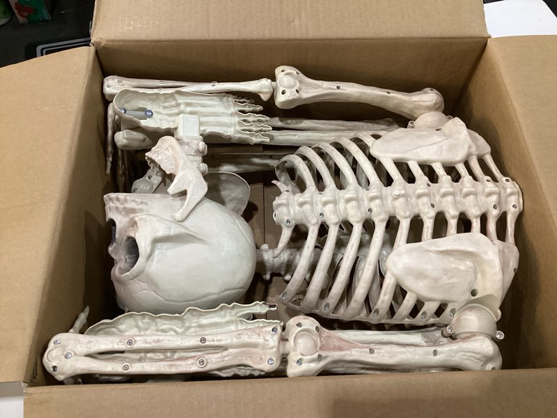 Condition photo showing Good Condition for JOYIN 5 FT Halloween Skeleton Life Size, Stayable Posable Skeleton Decor, Full Body Movable Joints Giant Skeletons for Halloween Decoration Outdoor, Haunted House Prop, Spooky Scary Graveyard Party Spooky Skeleton