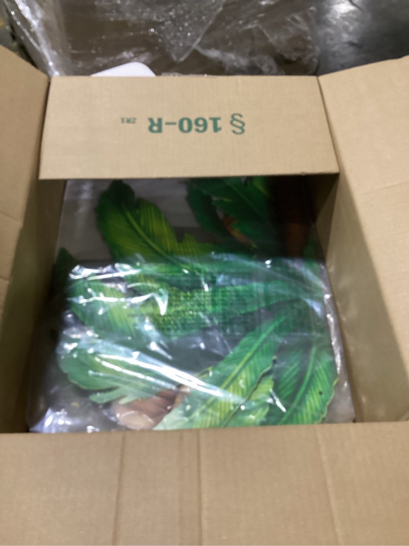 Condition photo showing Good Condition for Beistle Jointed Palm Tree Photo Prop Backdrop, 6' Tall- Tropical Hawaiian Beach Party Wall Decorations, Luau Cut Out Decor 1