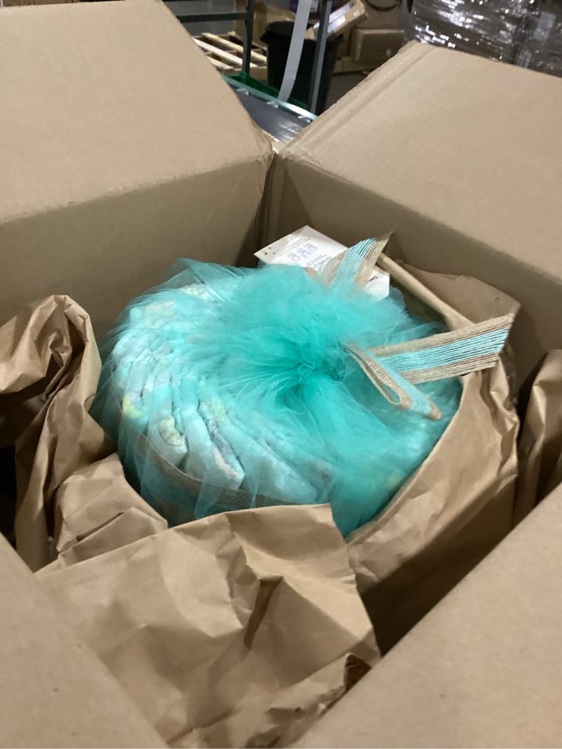 Condition photo showing As Is for The Honest Company Deluxe Diaper Cake Diapers Baby Personal Care Plant-Based Wipes Above it All, Size 1 8-14 lbs, 70 Count 70 Count (Pack of 1) Above It All