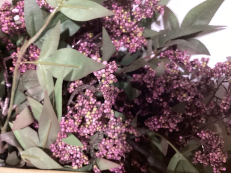 Condition photo showing New/Like New for Zeyune 3 Pcs Artificial Green Berry Stem 35 Inch Spring Faux Flowers Picks Branches Fake Realistic Sedum Stem Spray for Wedding Holiday Seasonal Farmhouse Mantel Harvest DIY Home Decorations 3 Green