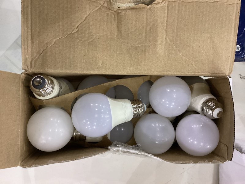 Light bulbs