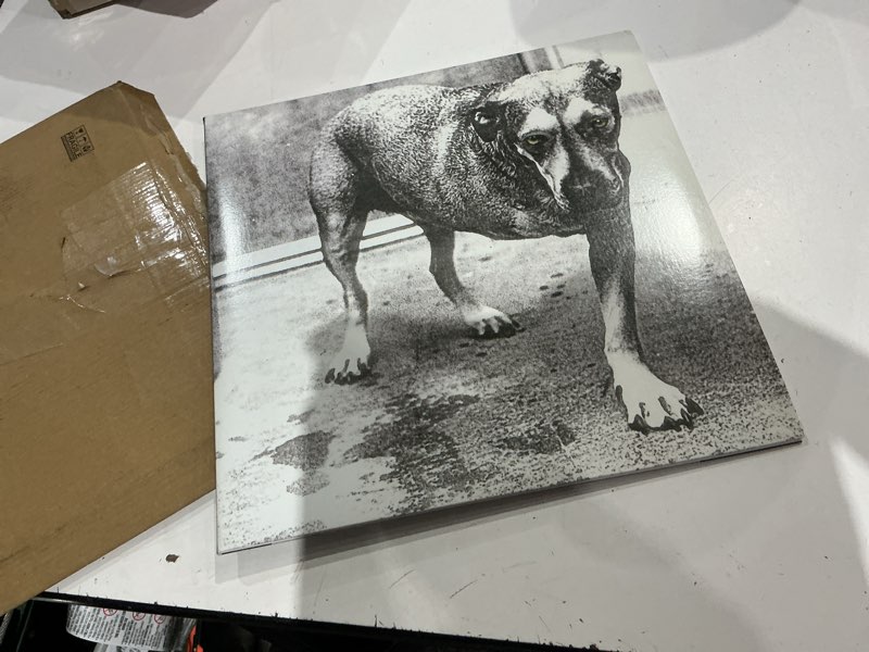 Condition photo showing Good Condition for alice in chains