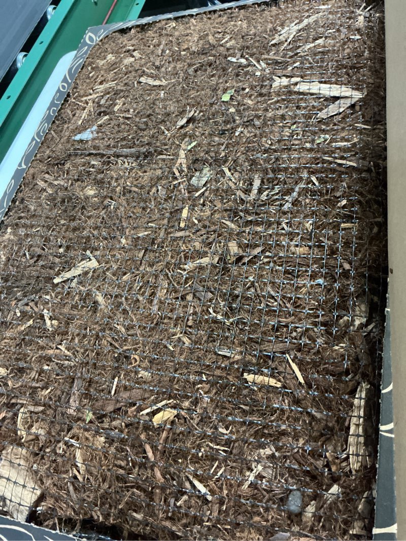 Condition photo showing Good Condition for Bark Potty Large Dog Potty Training Box - Disposable, Long-Lasting Pee Pad Litter Replacement - Leak Resistant, Multi-Use, Odor Control, Indoor/Outdoor Toilet Tray Large 30x20