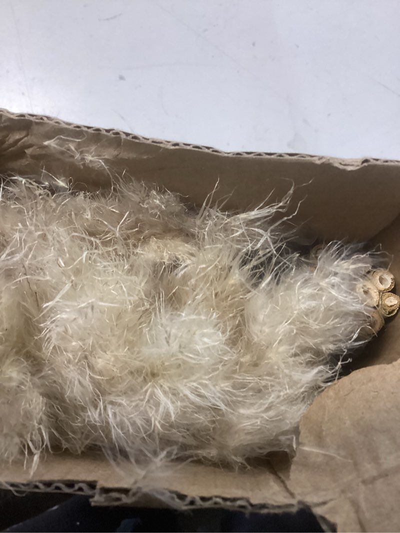 Condition photo showing Good Condition for 40pcs 40'' pampas grass tall decor - pompas floral, tall pampas grass for floor vases, living room floor, floor plants, plumas para, and grass wall decor