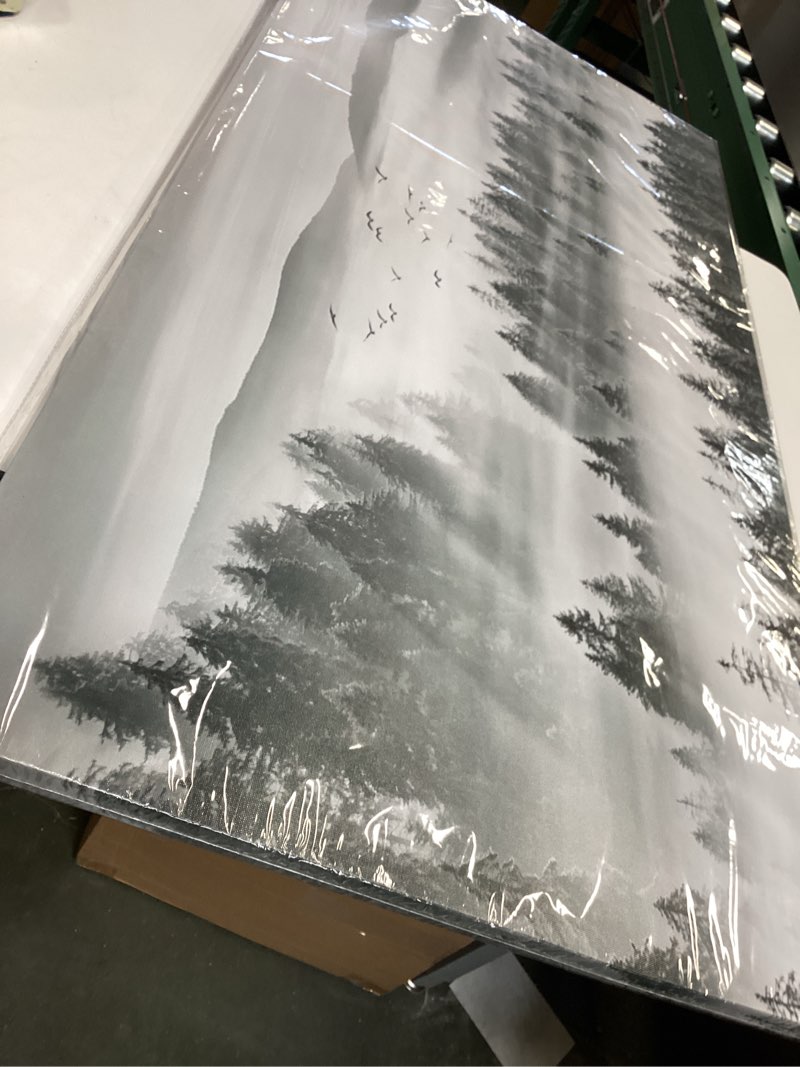 DB3962 Black and White and Mountain Nature Scenery 48L" x 24W" Foggy Forest