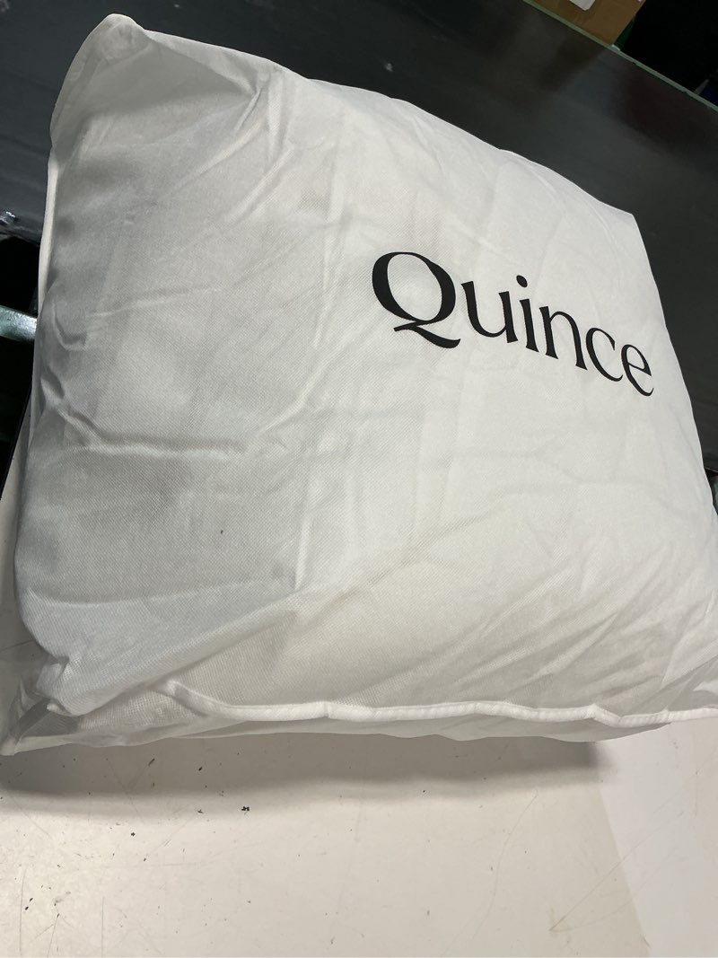 Condition photo showing As Is for lightweight luxe goose down comforter, king/cal king, white