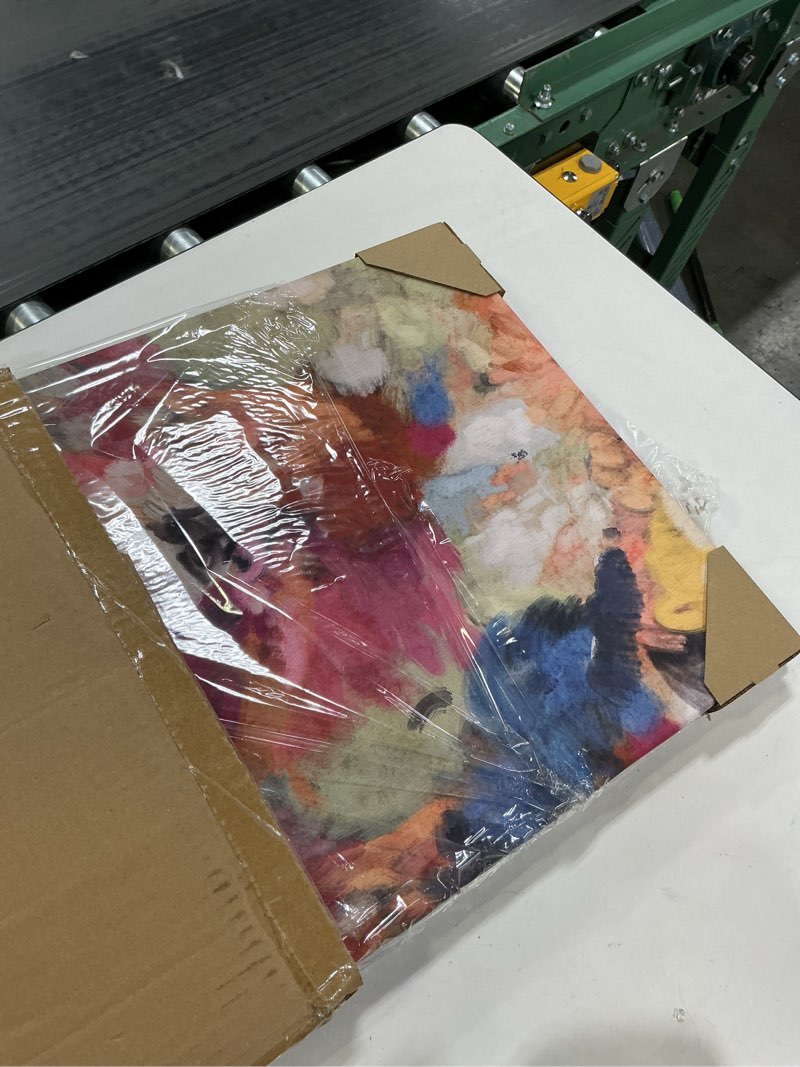Condition photo showing New/Like New for Colorful Abstract Wall Art Decor Modern Flower Canvas Wall Art Abstract Flower Pictures Painting Modern Colorful Artwork Posters Abstract Prints for Living Room Bedroom 16x24 Ready to Hang Set of 2