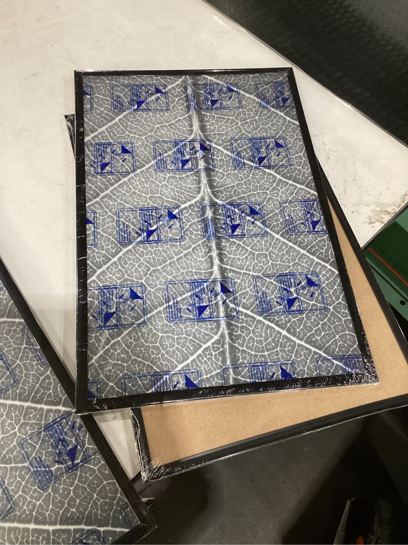 Picture frame pack of 3