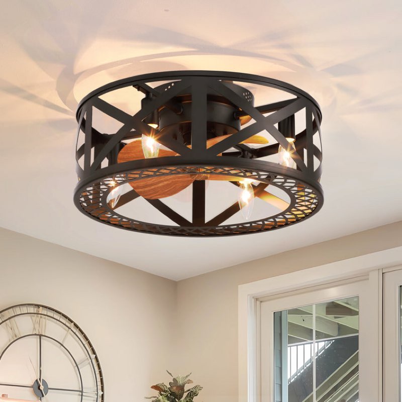 Sudha 18" Caged Ceiling Fan with Light Kit and Remote Control