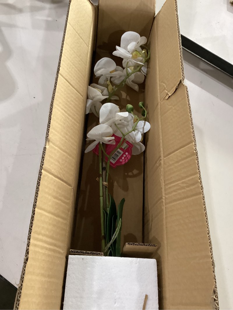 Condition photo showing New/Like New for dolly parton white artificial orchid in pink ceramic pot, 9.8x5.5x24 inch