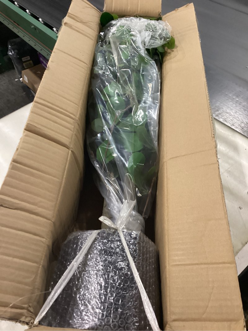 Condition photo showing New/Like New for Bellacat Faux Black Olive Tree 7ft, Tall Faux Trees Indoor with Natural Trunk and Realistic Leaves. 7 Feet(84in) Artificial Tree for Home Office Décor. 7ft Black Olive Tree