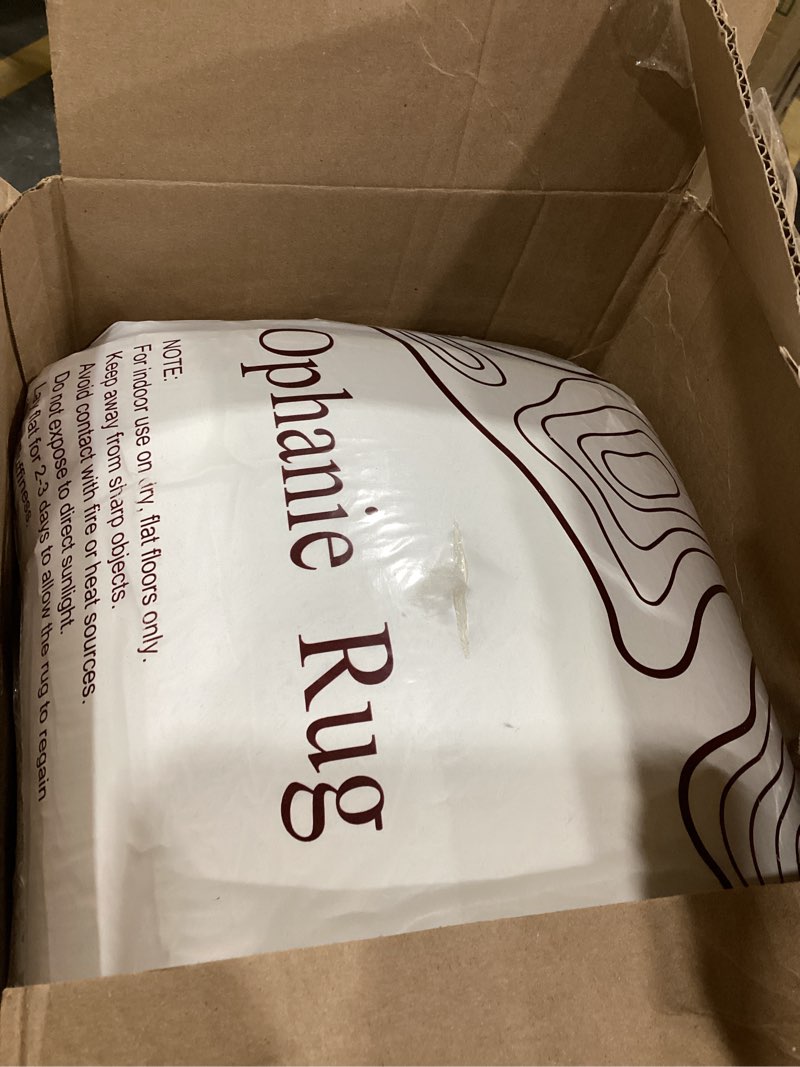 Condition photo showing Good Condition for Ophanie 8x10 Area Rugs for Living Room, Upgrade Non-Slip Fluffy Soft Large Shag Bedroom Carpet, Ivory Big Indoor Thick Nursery Rug, Carpets for Boy and Girls Room Dorm Home Decor Aesthetic 8' x 10' (Living Room 105-200ft²) 2- Ivory