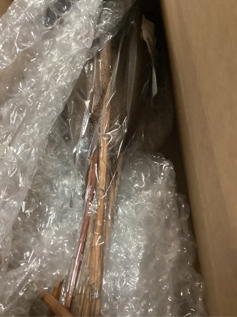 Condition photo showing As Is for deco 79 dried plant bunny tail grass natural foliage with long stems, 1" x 1" x 20", orange