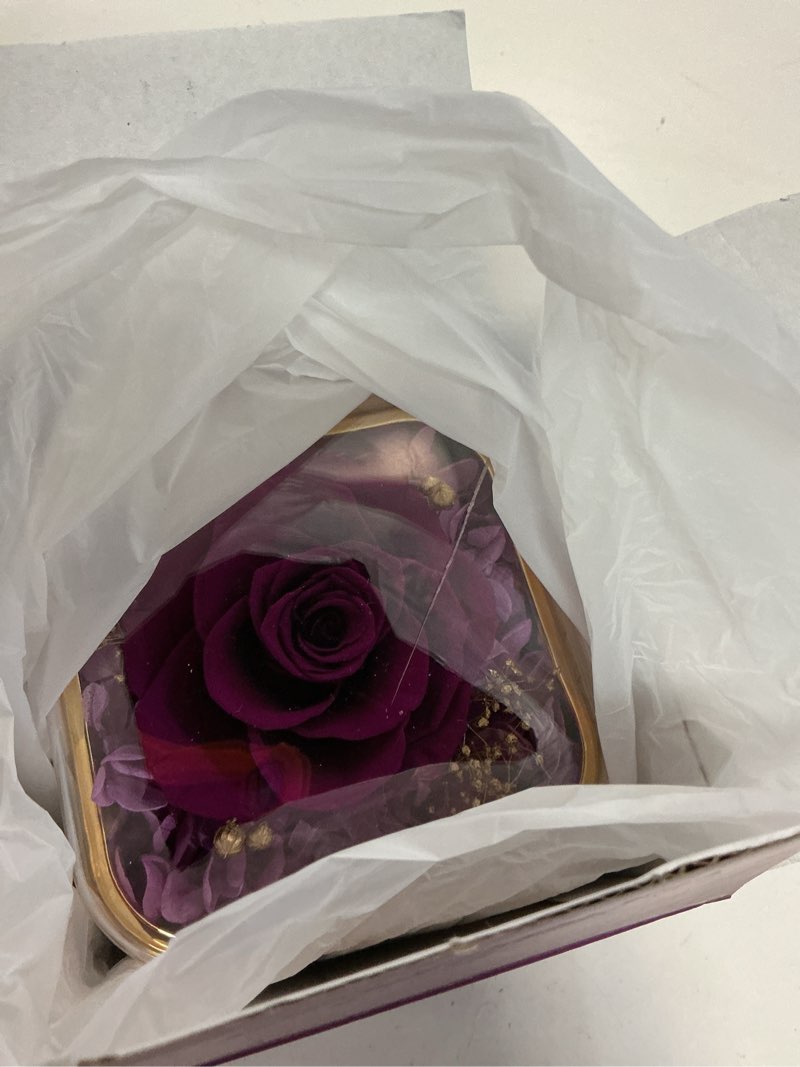 Condition photo showing As Is for beferr gifts for mom preserved real rose with necklace eternal roses fresh flowers for delivery prime birthday anniversary purple gifts for women mothers grandma wife daughter girlfriend sister a purple