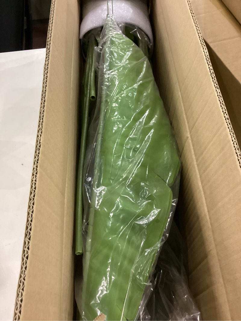 UNPACK & PUT THE PLANT UPRIGHT