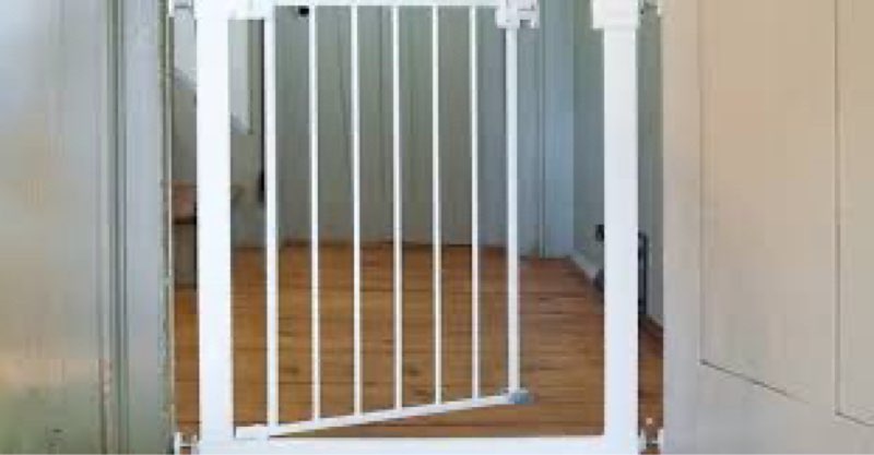 Group of gates baby