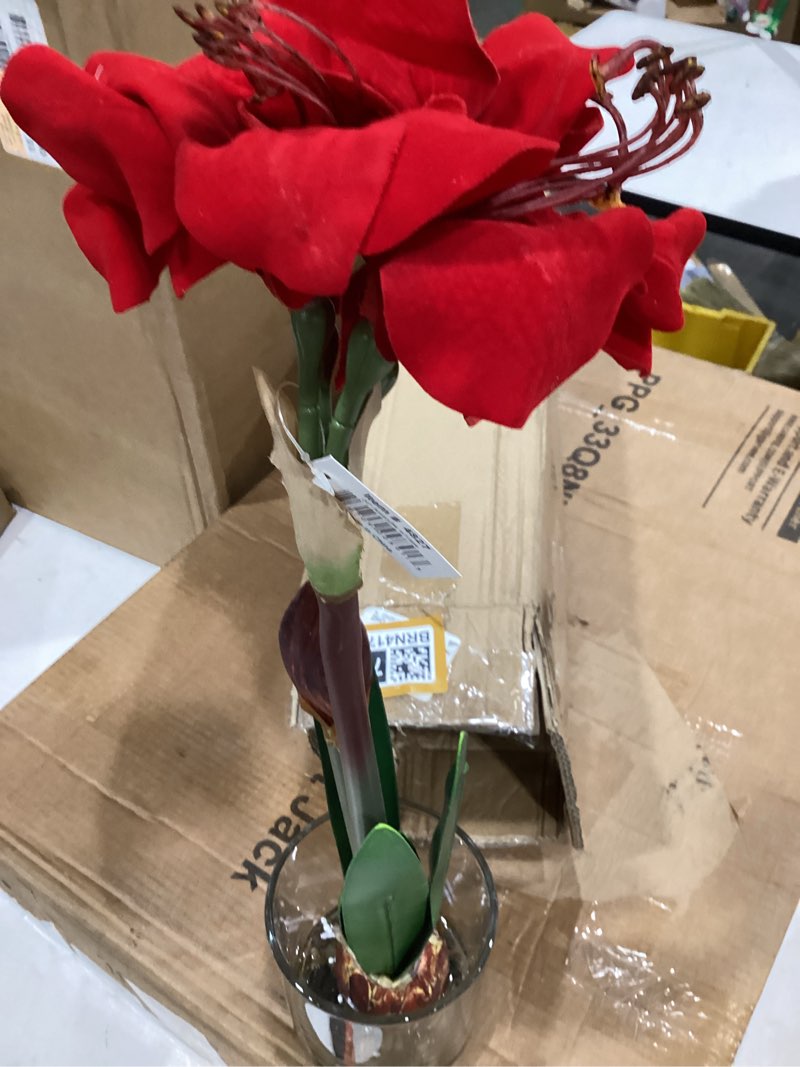 Condition photo showing Good Condition for nearly natural amaryllis with round vase
