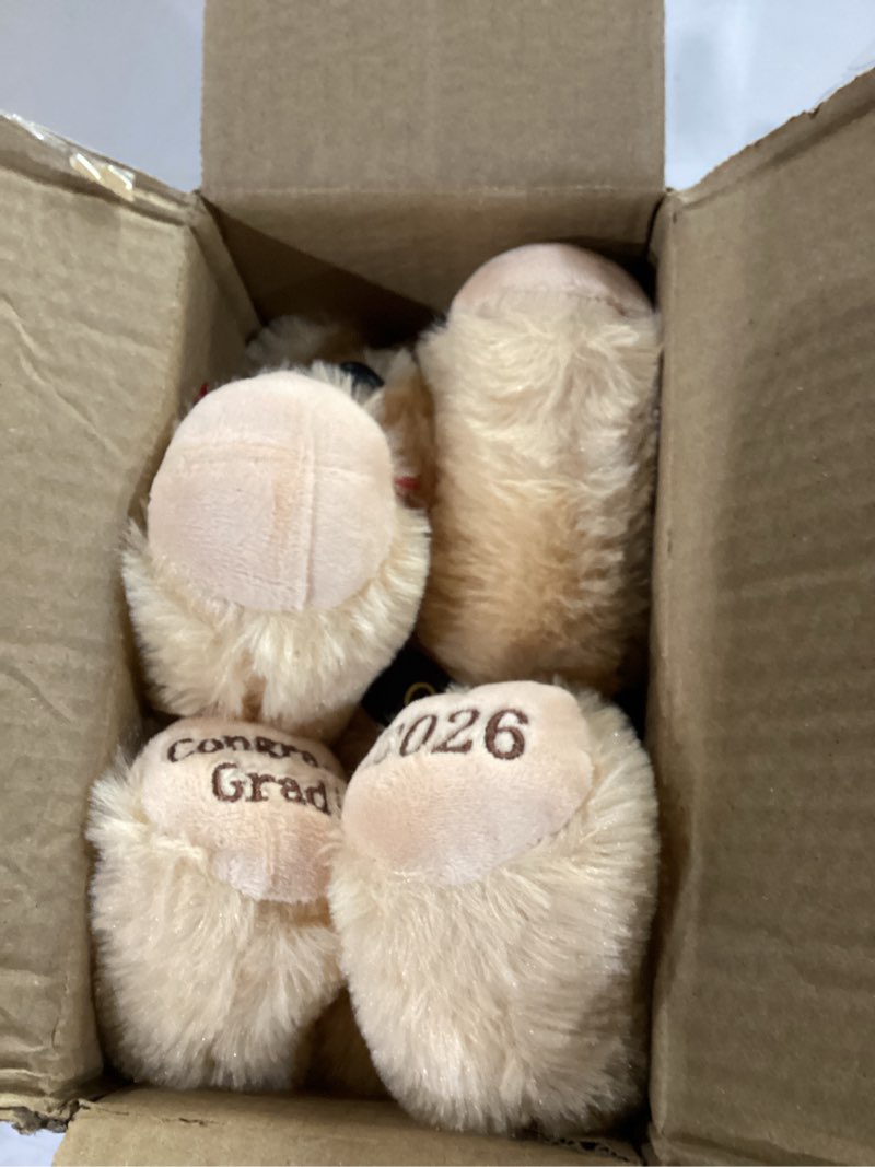 Condition photo showing New/Like New for 8 inch graduation plush stuffed animal class of 2026 brown puppy dog