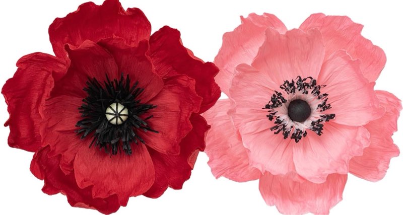 Paper Flowers Decorations for Wall, Wedding Decoration - Paper Wall Flowers - Flower Wall Decorations - Large 