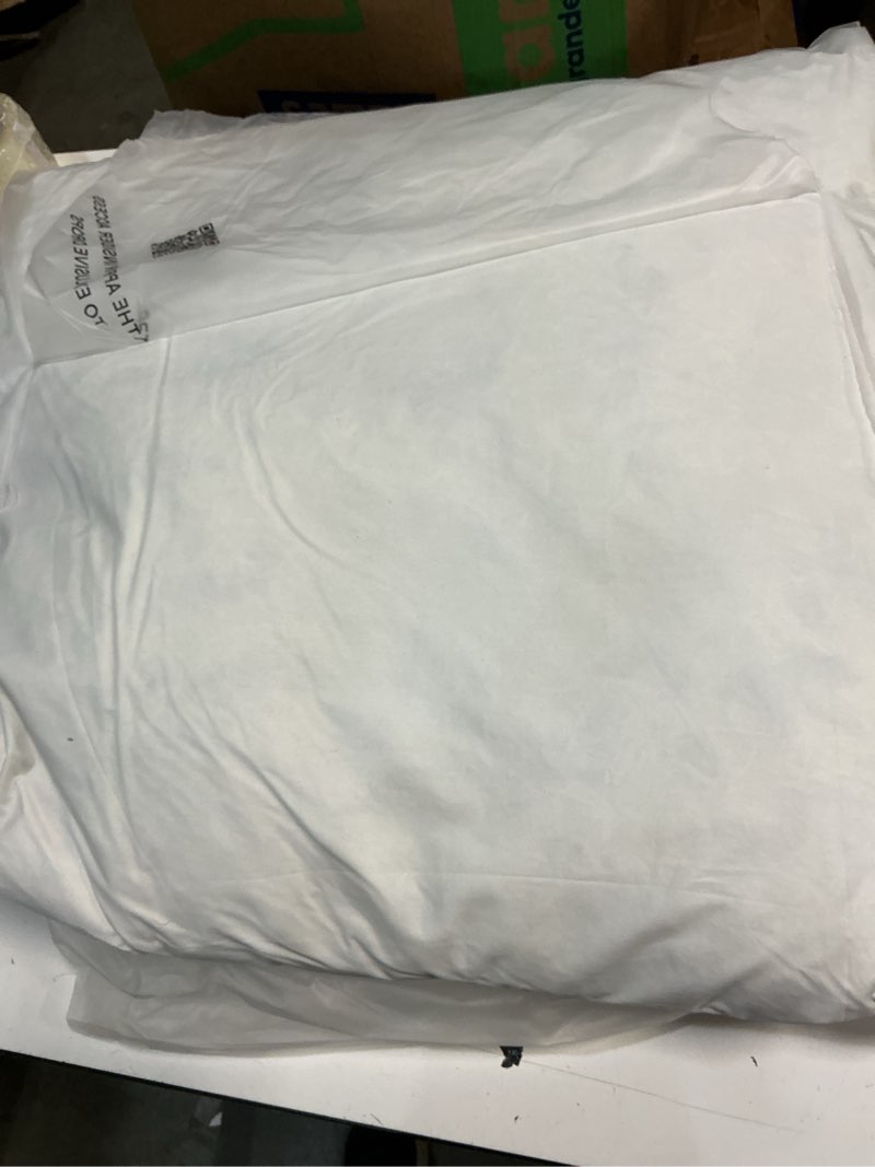 Condition photo showing As Is for quince premium feather pillow insert, 26x26, no color