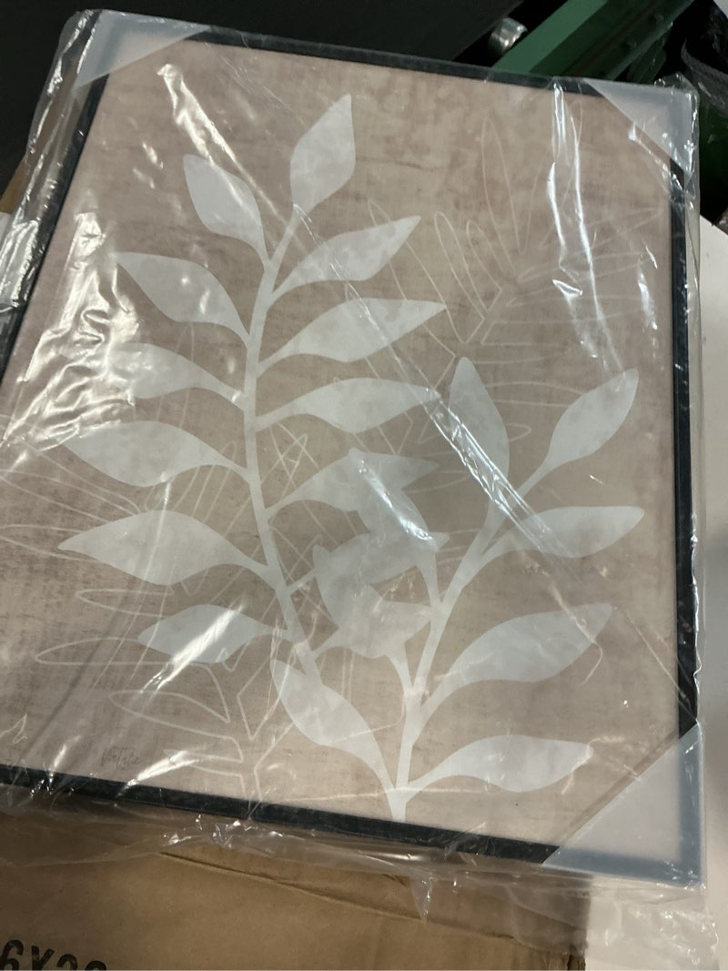 Condition photo showing Good Condition for stupell industries boho botanical leaf silhouette 2pc framed giclee art set, gray, 24" x 30"