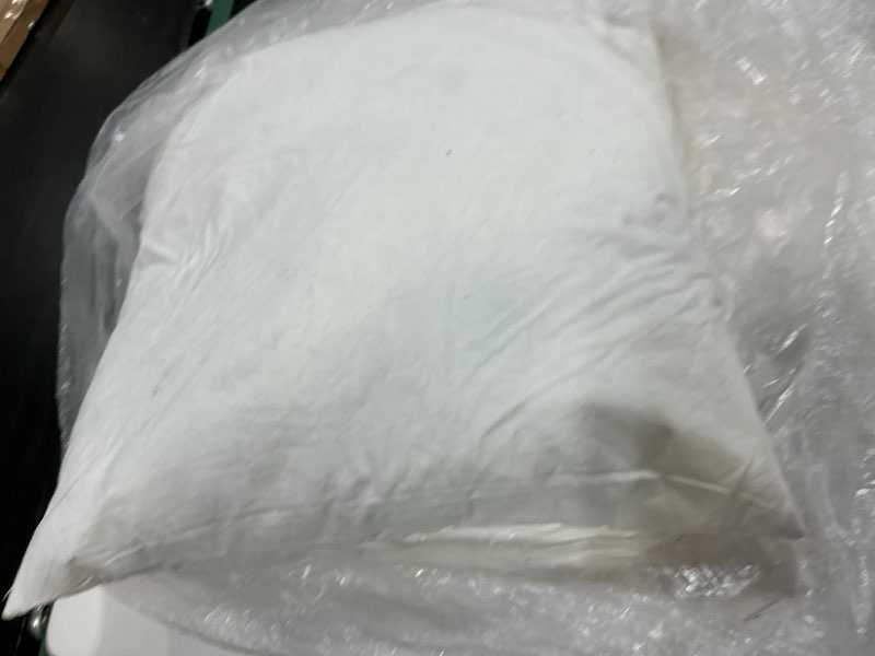 Condition photo showing As Is for only one pillow quince premium feather pillow insert (set of 2), 20x20, white