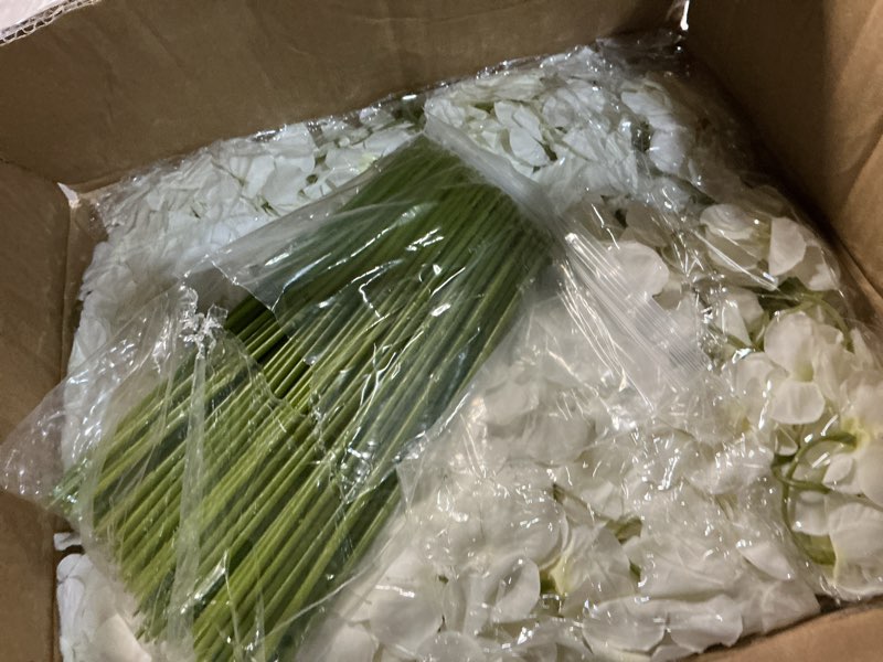 Condition photo showing Good Condition for 8pcs white delphinium artificial flower silk larkspur flowers 34.6'' long stem plant floral silk flowers faux bouquets for tall vase floral arrangements floor home garden outdoor wedding decor