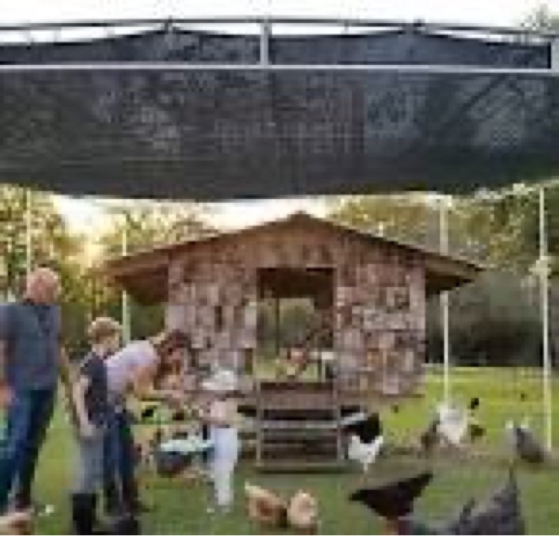 shade cloth - 70-90% sunblock net for garden patio,shade sails for plants greenhouse outdoor pergola lawn swimming sun shade cloths for kennel chicken coop easier to hang shade net cover… 3'x20' 80-90% shade