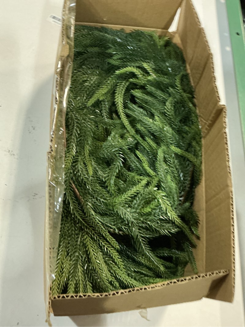 Condition photo showing As Is for 2 Pack 6ft Real Touch Norfolk Pine Garlands, Christmas Pine Garland, Artificial Nature Touch Greenery Garland for Table,Mantle, Wall, Indoor, Outdoor Christmas Decorations 2 Pack 6FT Norfolk pine garland