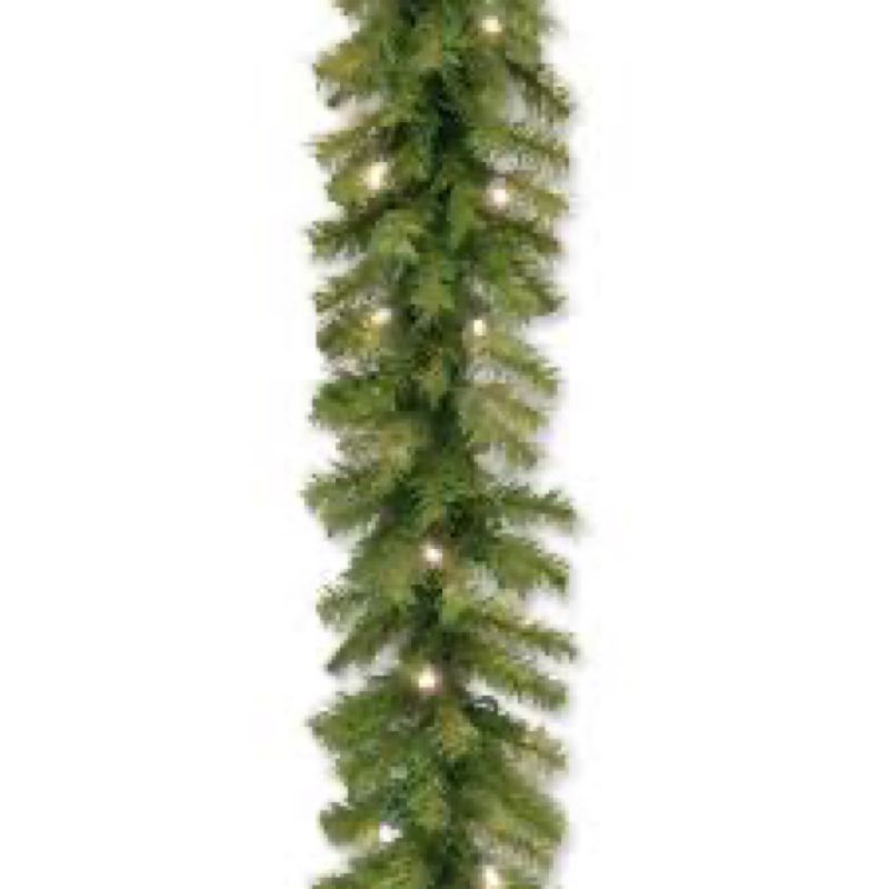 National Tree 9 Foot by 10 Inch Norwood Fir Garland with 50 Battery Operated Soft White LED Lights (