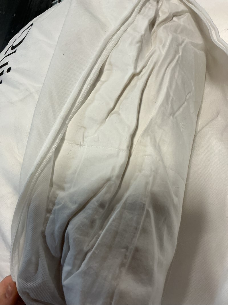 Condition photo showing As Is for luxe goose down comforter duvet insert, full/queen, white