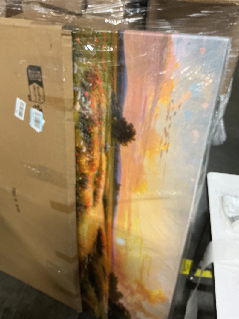 Condition photo showing New/Like New for serimino large wall art for living room, sunset landscape wall decor, meadow wildflowers canvas prints paintings, marshland scenery pictures home decor for bedroom dining room kitchen 29"x57" 57"l x 29"w sunset marshland