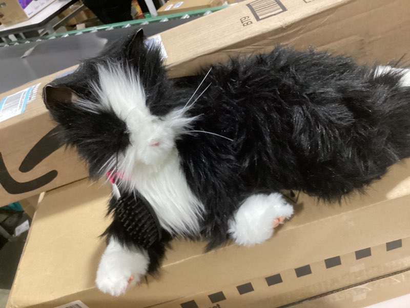 Condition photo showing Good Condition for JOY FOR ALL Companion Pet for Seniors - Lifelike Animatronic Cat - Realistic Soft-Touch Fur & Purring - Therapy Stuffed Animal - Toy for Alzheimer's & Dementia - Tuxedo Black & White Tuxedo Cat