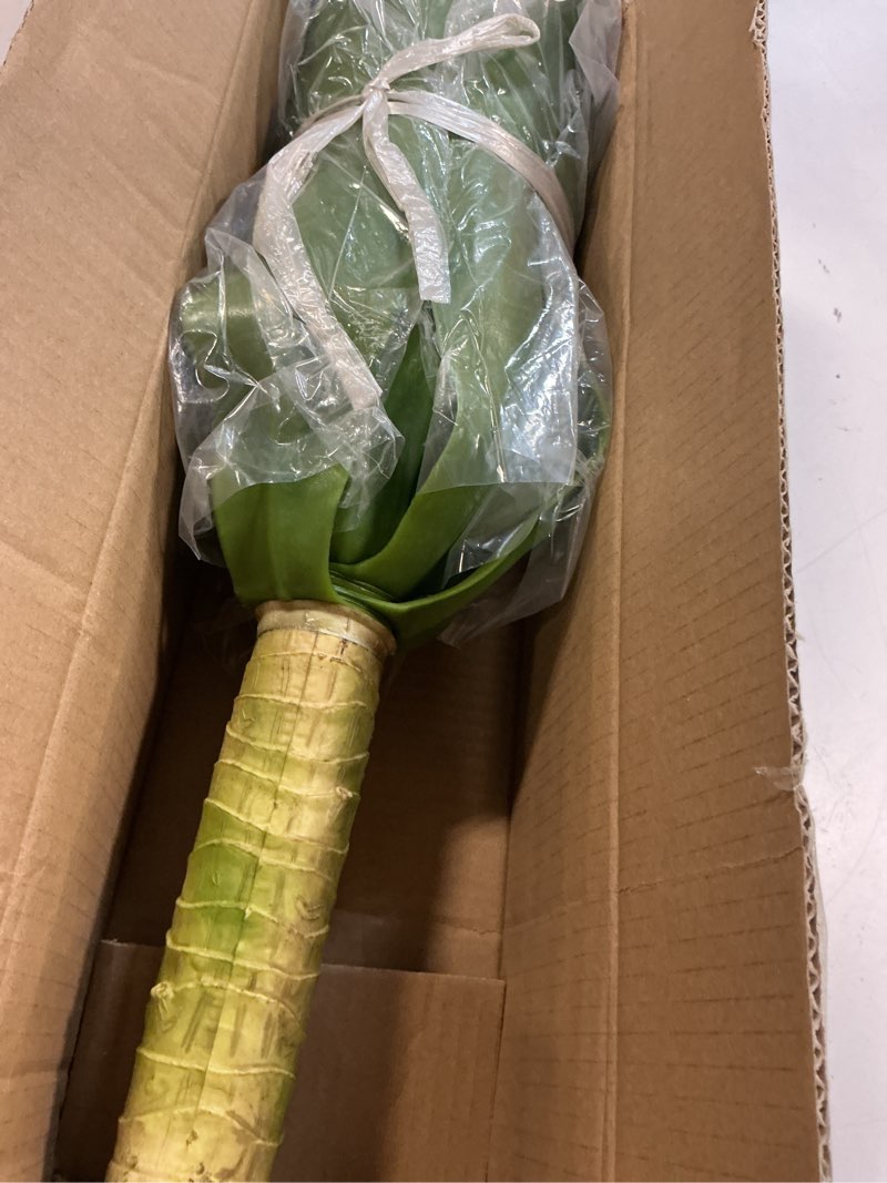 Condition photo showing Good Condition for velener artificial agave plant set,18 inch, faux aesthetic plants for home decor, realistic uv resistant fake agave plants without pot, set of 2 green*2 18 inches