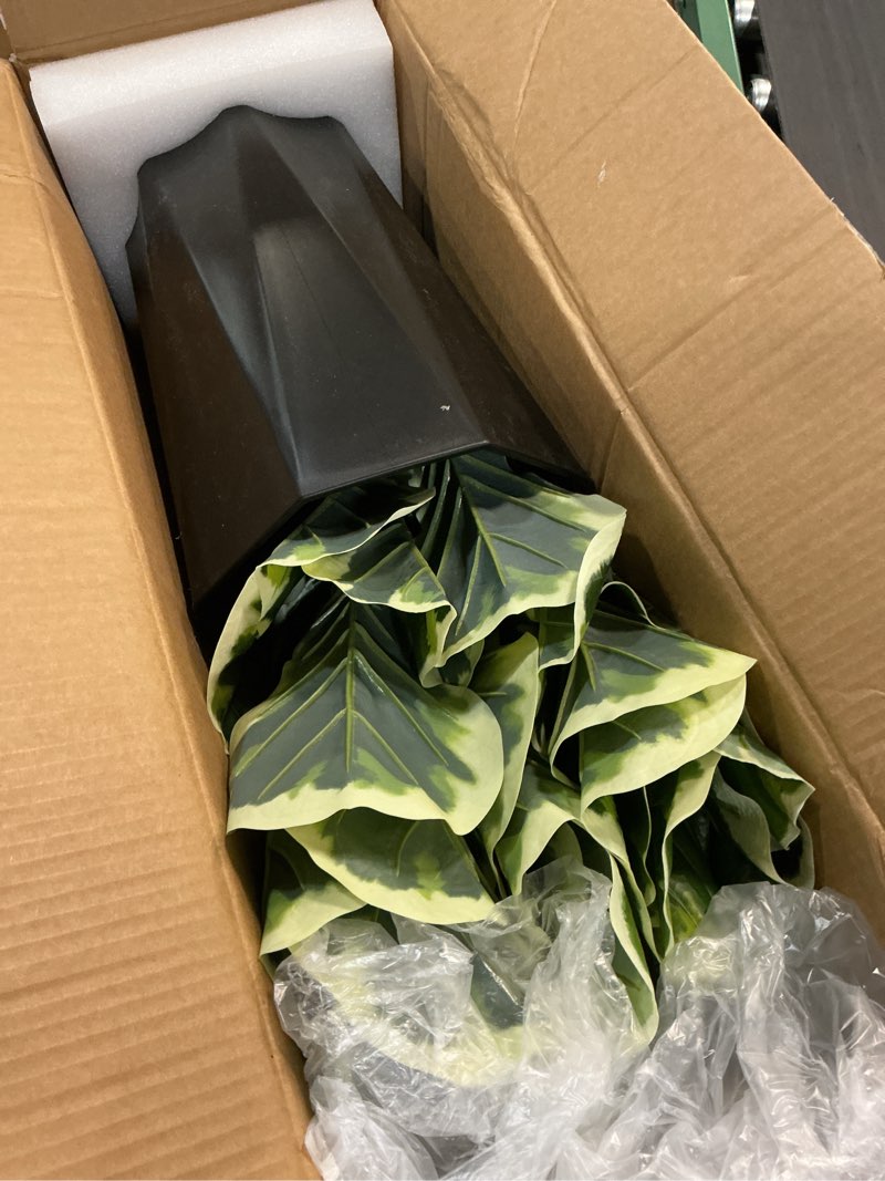 Condition photo showing New/Like New for artificial fiddle leaf fig tree 5ft - faux rubber plant with black diamond planter - tall fake floor plant potted - artificial silk tree for home office living room decor indoor