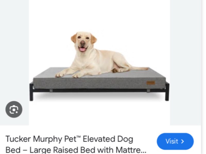 Elevated Dog Bed – Large Raised Bed with Mattress & Frame, Modern Style, Durable for Large Dogs - Aerin